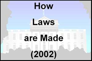 How Laws are Made 2002