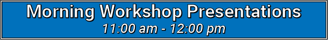 Morning Workshop Presentations: 11:00 am to 12:00 pm