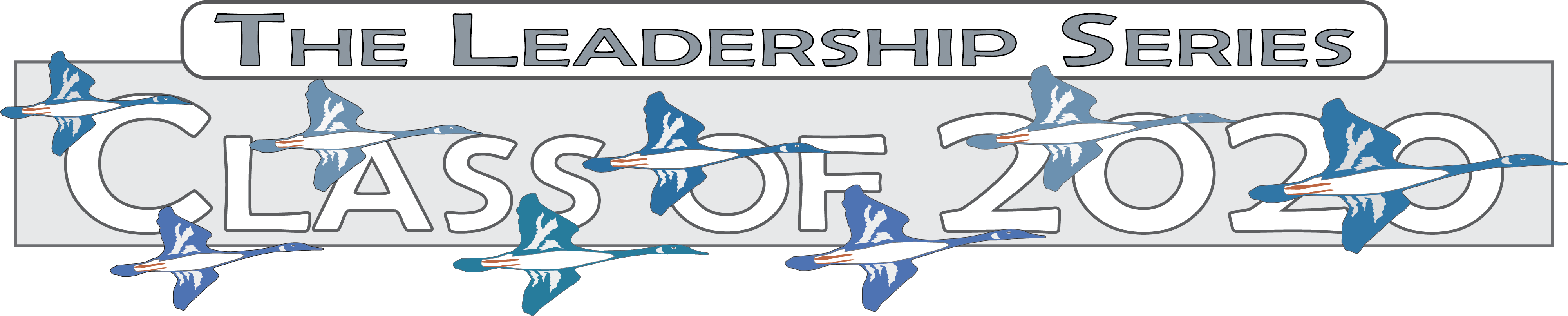 lEADERDERSHIP cLASS OF 2020 web banner with the words "class of 2020
" and drawing of geese flying in "V" formation